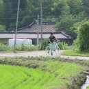 행복한이야기 이미지