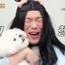 맡겨보개 이미지