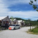 채움 관광농원 이미지