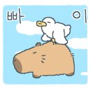 주성농장 이미지