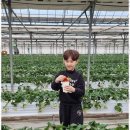 천마아이태권도장 이미지