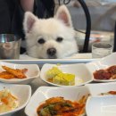 찬의여왕