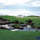 다인골프클럽 이미지