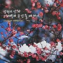 피아노나라 이미지