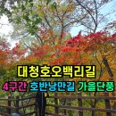 대청호오백리길 호반낭만길 | ✅대청호오백리길 4구간(호반낭만길) 단풍여행‼️