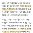 美 대마 합법화 지역, 교통사고 사망자 평균 10% 증가 이미지