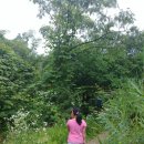 반딧불이생태공원 화장실 이미지