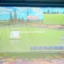 고마스크린골프 이미지