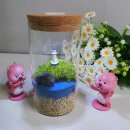 DIY 이끼테라리움 만들기 모모리움