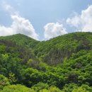 백운동계곡펜션 이미지