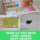 순천당약국 | 잇몸질환에 효과적 한방치약:잇몸사랑치약