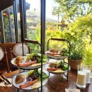 세렌의정원 이미지