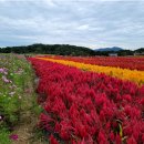 (주)한사랑여행 이미지