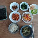 고운손병원 | 대전 산후도우미 후기, 다둥이 반려견 산모도 추천하는 관리사님!