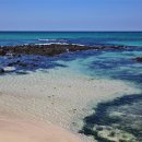 한성탑행정사 합동사무소 이미지