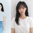 브릭
