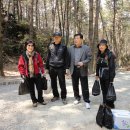 몰운대 시비 이미지