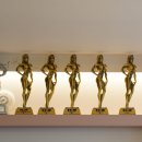 스페셜바디 레이디 이미지