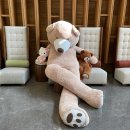 호텔 마에스트로 이미지