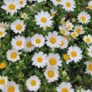 계산3동 행정복지센터 앞 이미지