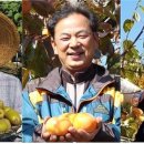 신현열 이미지
