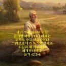 오늘도예쁜하루 이미지