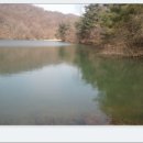 온곡제 Daum카페