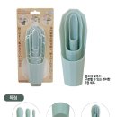 코끼리다육 이미지