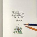 색연필 붓펜 그림 손글씨 이미지