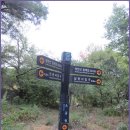 둘레길9구간 이미지