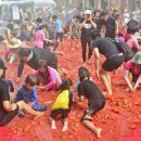 둔내파출소 이미지