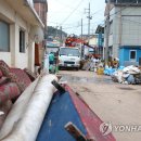 오포리농장 연합뉴스