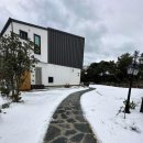 비자노아 이미지