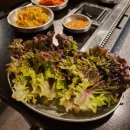 돈모아참삼겹 | 안양역 맛집 탐방 돈모아참삼겹에서의 삼겹살 무한 행복 솔직 후기