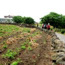 무릉리-11 이미지