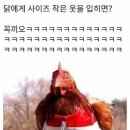 애란스타일
