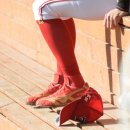 한밭야구장 이미지