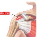 간석성모의원 네이버블로그