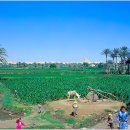 이집트 여행기-2.나일강의 선물 이미지