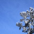 삼계리노인회관 이미지