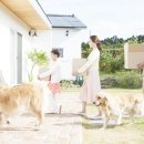 대선빌라 이미지