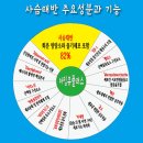 큐플러스