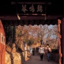 금샘초등학교 이미지