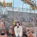 [양평여행] 두물머리 아트팜 카페인데 빈티지 가구도 판다고? 직접 가보니 반전 매력! ☕🪑