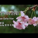 기억의 순간 이미지