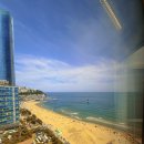 나라곰탕 | 모래축제 20주년🏜️🏖️⏳사람밭⭐️거대곰탕🐻더베이101🌃잇시...호텔🏩오션뷰킹룸❣ㅆㅣㅁㅔ르수영장🩱일박후기🌊🐳🧜💖