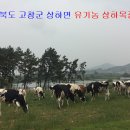 강서목장 이미지