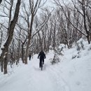 계방산눈꽃마을 | 대관령 선자령 겨울 눈꽃산행 (대관령마을휴게소~정상)