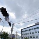 다솜요양병원 이미지