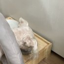 민지커텐 네이버블로그